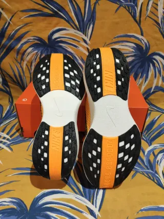 T. 41 Zapatillas Nike Pegasus Plus Lv8