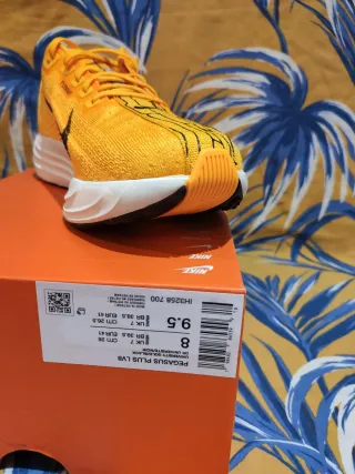 T. 41 Zapatillas Nike Pegasus Plus Lv8