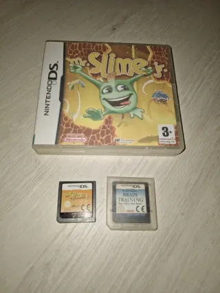 Lote 2 juegos Nintendo DS: Mr. Slime Jr. y Brain T