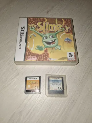 Lote 2 juegos Nintendo DS: Mr. Slime Jr. y Brain T