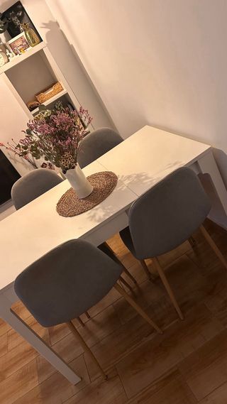 Mesa comedor con 4 sillas