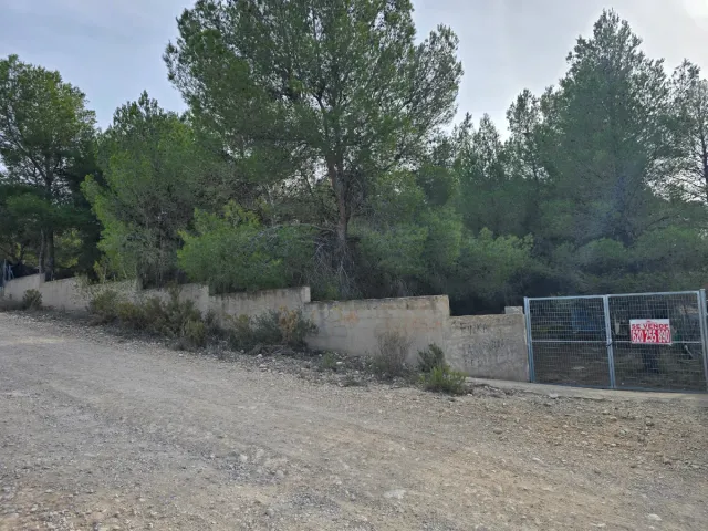 Terreno en Finca Terol