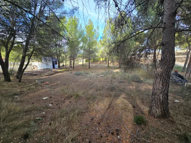 Terreno en Finca Terol