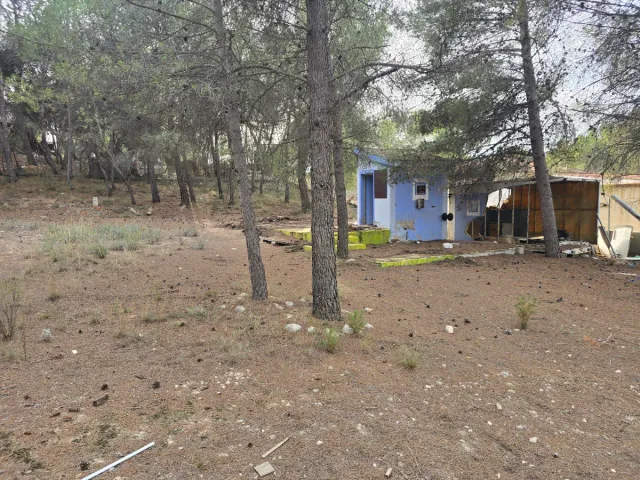 Terreno en Finca Terol