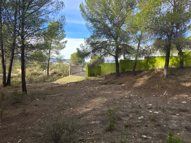 Terreno en Finca Terol