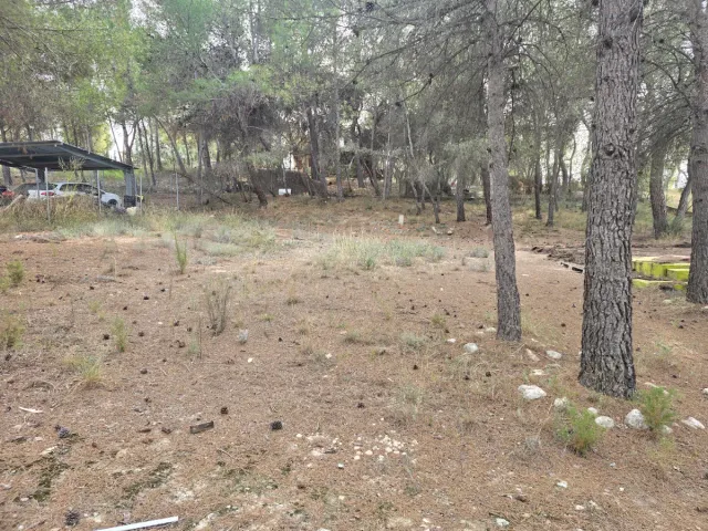 Terreno en Finca Terol