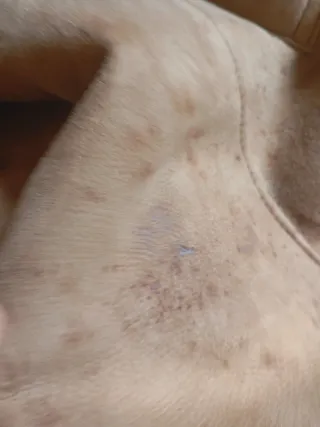 Abrigo Vintage Marrón y Verde