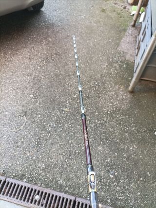 Caña Shimano Antares braid boat