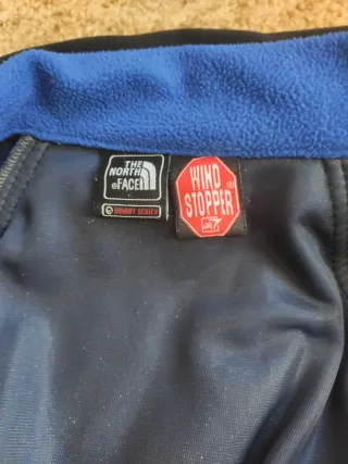 Anorak The North Face azul y gris