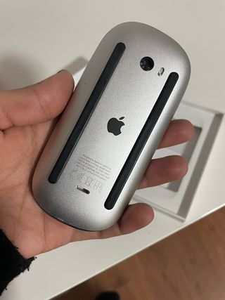 Apple Magic Mouse Plata