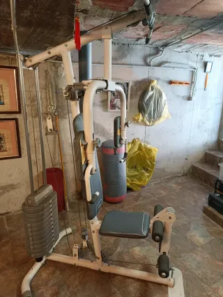 Polea Gimnasio Multifunción