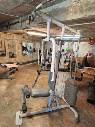 Polea Gimnasio Multifunción