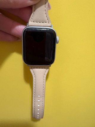 Apple Watch SE Argento