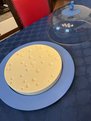 contenitore formaggio/torta con campana