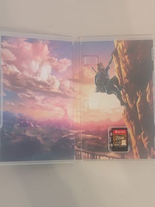 Zelda Breath of the Wild + Zelda Skyward Sword