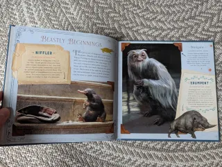 Fantastic Beasts and Where to Find Them: Newt S...