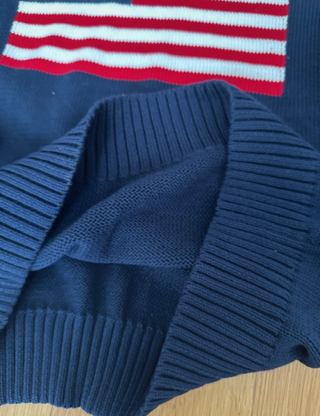 Polo Ralph Lauren Sudadera Bandera USA