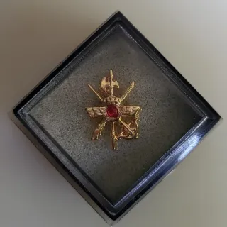 Pin Agrupación Acuartelamiento Aéreo Getafe