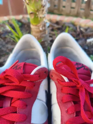 Nike Air Vortex Gym Red