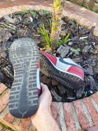 Nike Air Vortex Gym Red