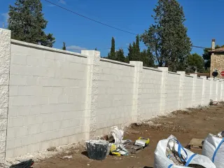 albañil profesional