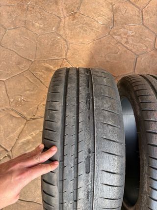 Michelin Pilot Sport Cup 2  225 45 17