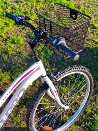 Bicicleta Montaña B-pro con Silla y Cesta