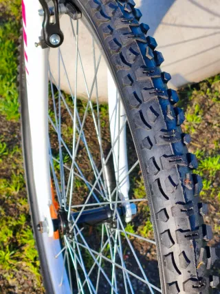 Bicicleta Montaña B-pro con Silla y Cesta