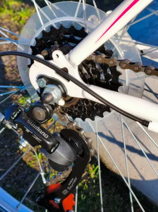 Bicicleta Montaña B-pro con Silla y Cesta