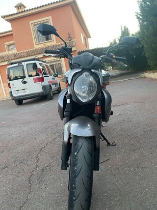 Suzuki Gladius 650