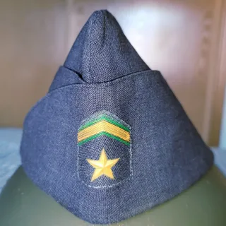 Gorro de Subteniente del EA Antiguo *