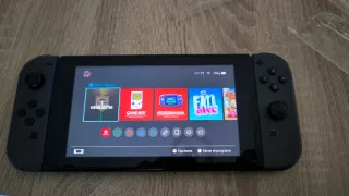 Nintendo Switch Gris/Negro Diablo