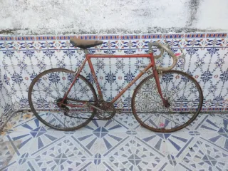 Bicicleta de carretera clásica ZELERIS