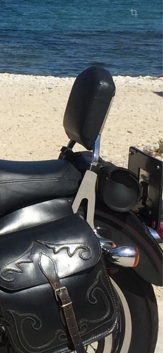 Respaldo Harley Davidson Cromado