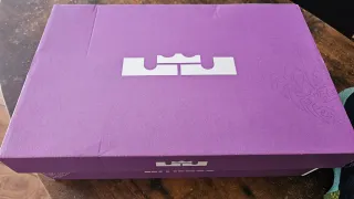 Zapatillas Nike Lebron Witness VIII