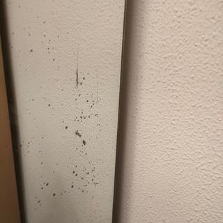 Espejo Grande Vintage 170x65cm