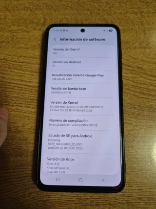 Samsung Galaxy S21 FE Nero con custodia