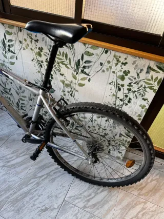 Bicicleta de montaña plateada