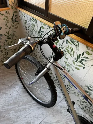 Bicicleta de montaña plateada