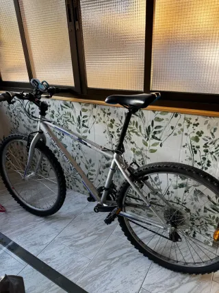 Bicicleta de montaña plateada