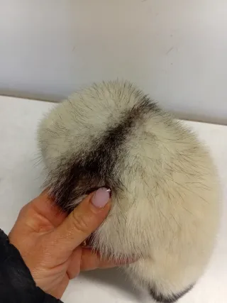 Cappello donna invernale grigio/bianco