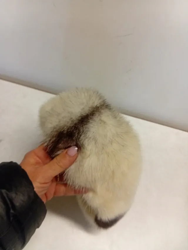 Cappello donna invernale grigio/bianco