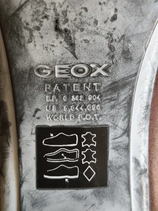 Geox Mujer Marrones con Hebilla