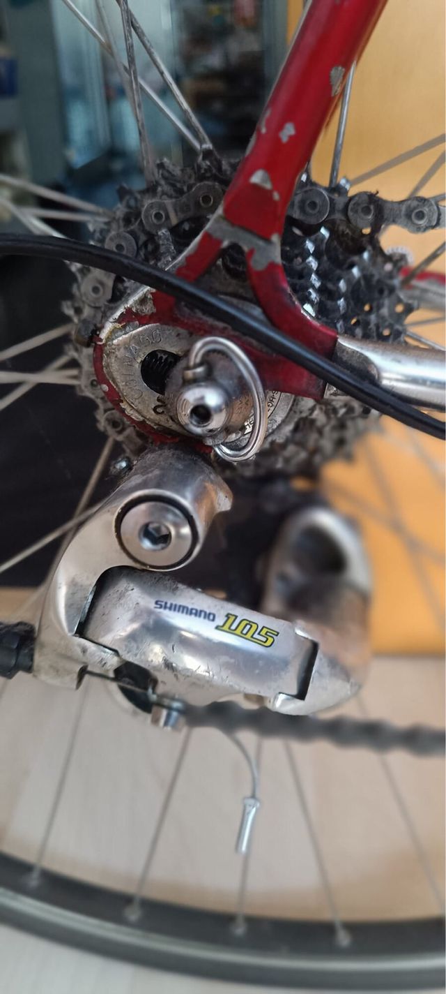 Bicicleta Colnago Vintage L'Eroica