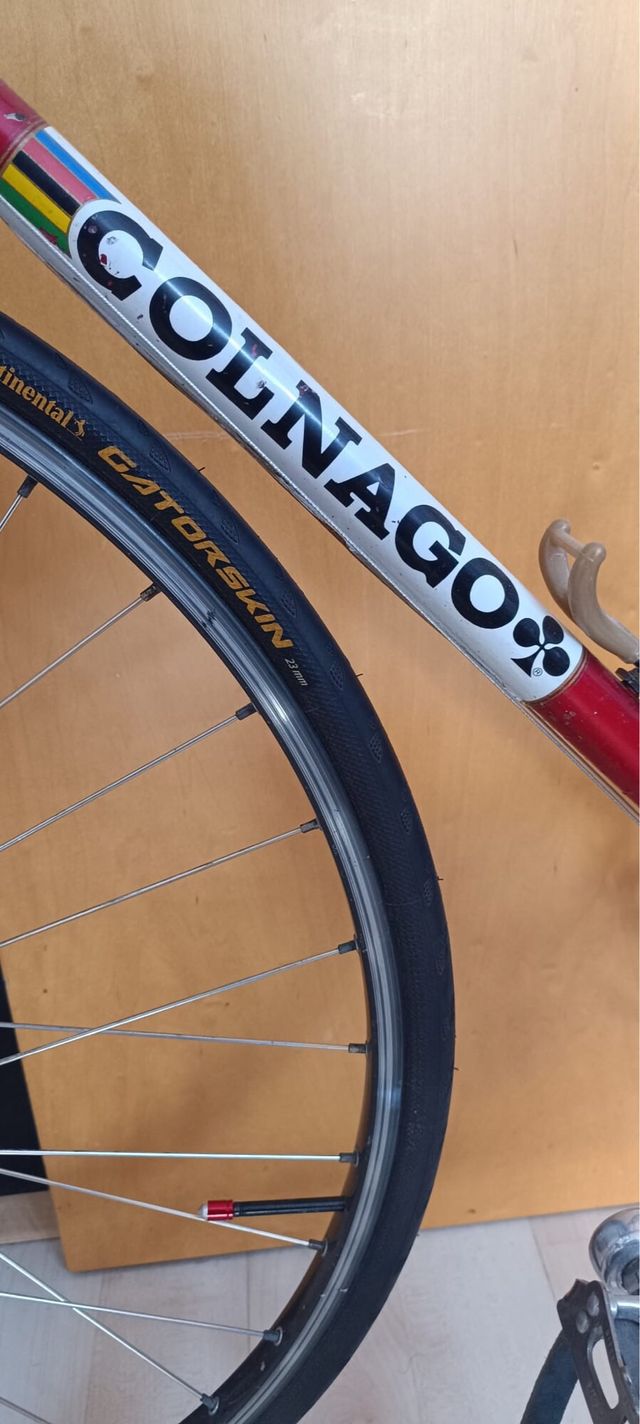 Bicicleta Colnago Vintage L'Eroica