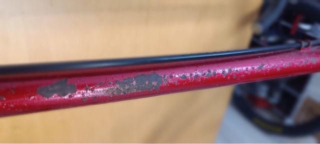 Bicicleta Colnago Vintage L'Eroica