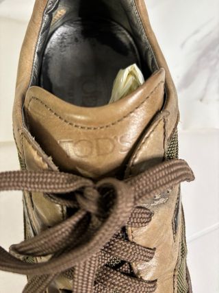 Tod's Scarpe Uomo Marrone/Verde