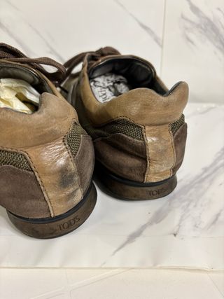 Tod's Scarpe Uomo Marrone/Verde