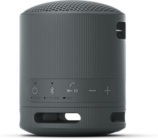 Altavoz Sony SRS-XB100 Gris