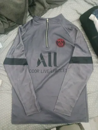 Sudadera PSG Paris Saint-Germain Gris